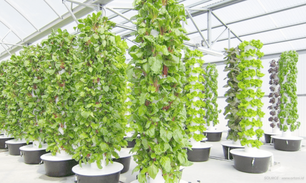 urban farming teknologi